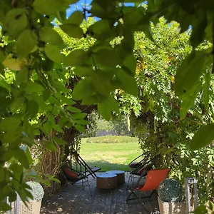 le-patio-occitan.midi-pyreneeshotels.com/